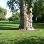 Lincoln's Inn Fields