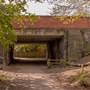 Parkland Walk