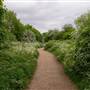 Parkland Walk