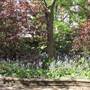 Queen Square