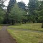 The Knoll