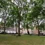 Regent Square Gardens
