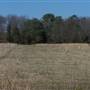 Long Island State Pine Barrens Preserve