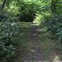 Sanderstead Plantation