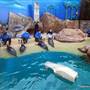 Long Island Aquarium
