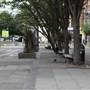College Road