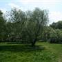 South Norwood Lake Trim Trail