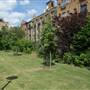 Tanner Street Park