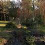 Hammonton - Farmland
