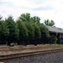 Hammonton - Train Station and Restaurants