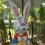 Egg Harbor Township - Storybook Land 2