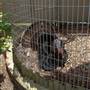 Egg Harbor Township - Storybook Land 3