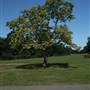 Belair Park