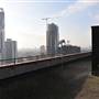 Albert Barnes Rooftop