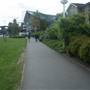 Surrey Canal Path