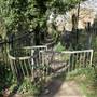 Sydenham Hill Wood