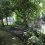 All Saints Church/Vicarage Gardens