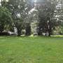 Ravenscourt Park - Flower Garden