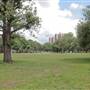 Shepherds Bush Common