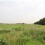 Wormwood Scrubs