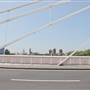 Albert Bridge