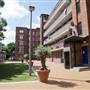 Bramley House