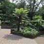 Holland Park - Entrance