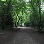 Holland Park - Main Area