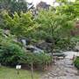 Holland Park - Kyoto Garden