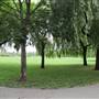 Little Wormwood Scrubs - Playground and Outdoor Gym Area