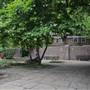 Ropers Gardens
