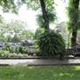 St Luke's Gardens