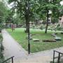 Tavistock Square Gardens