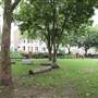 Tavistock Square Gardens
