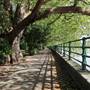 Bishops Park - River Walk / Thames Path