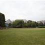Holland Park - Cricket Pitch, Gym area and Petanque