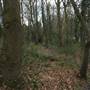 Amherst Wood Open Space