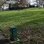 Broomhill Common
