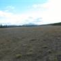 Cousins Airstrip