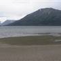 Bennett Lake
