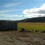 Bloomingshine Farm
