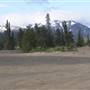 Carcross Desert