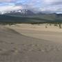 Carcross Desert