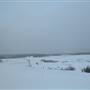 Copper Mine Field