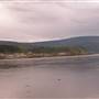 Dawson Viewpoint