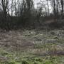 South Norwood Country Park