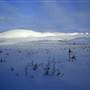 Dempster Winter