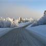 Fish Lake Road December