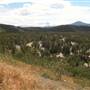 Grey Mountain Viewpoint