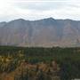 Klondike Highway